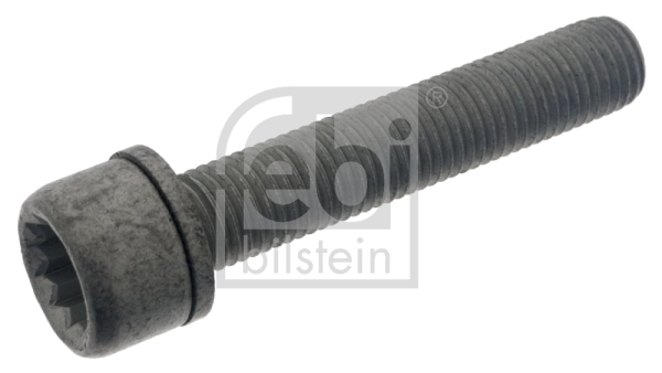 Bolt, brake caliper